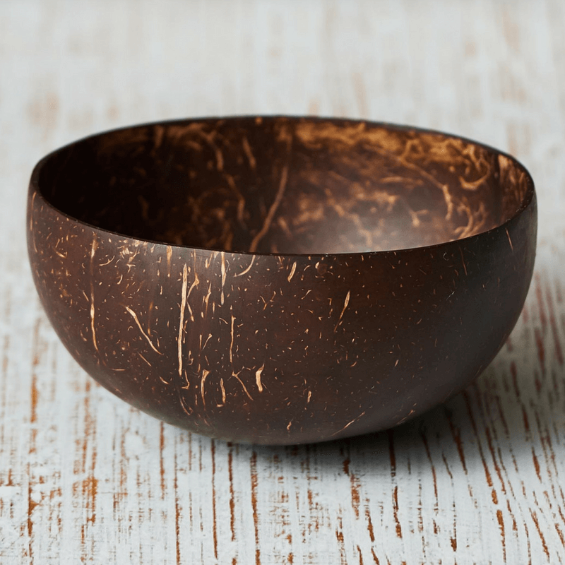 Reusable Coconut Bowl