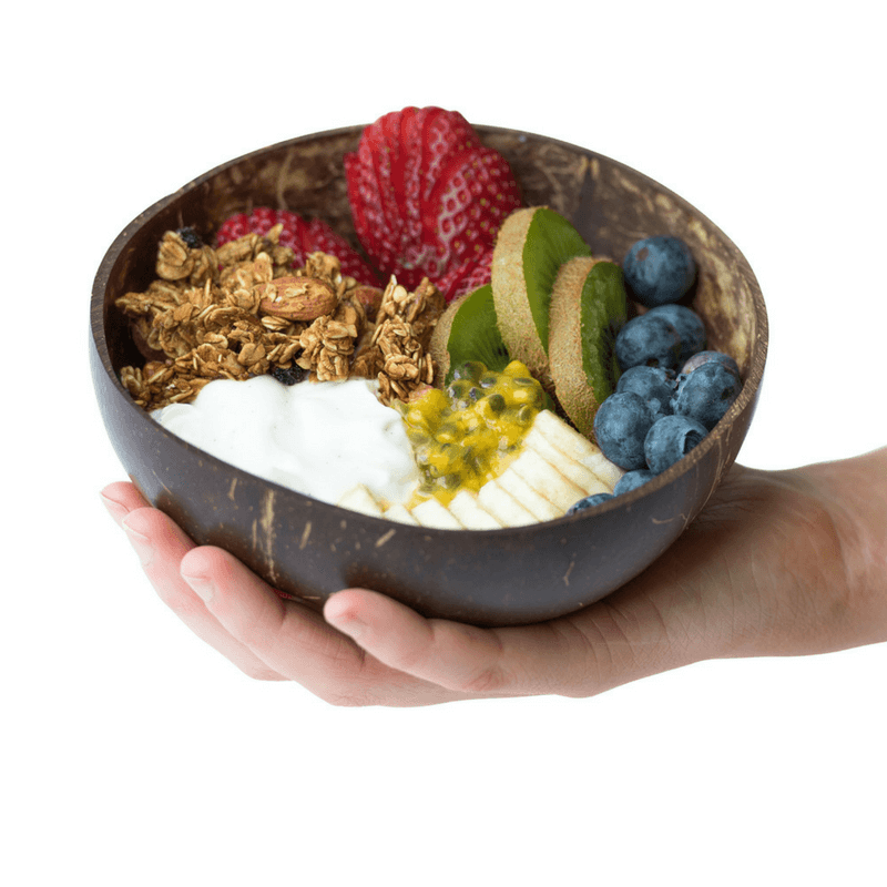 Reusable Coconut Bowl