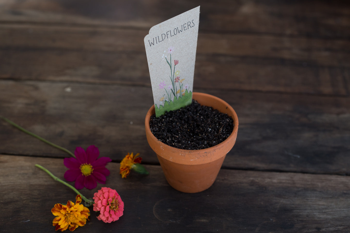 Sow_n_Sow_Wildflowers_Gift_of_Seeds