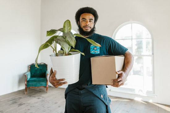 Moving house? Shift to a greener lifestyle with these eco-friendly moving tips