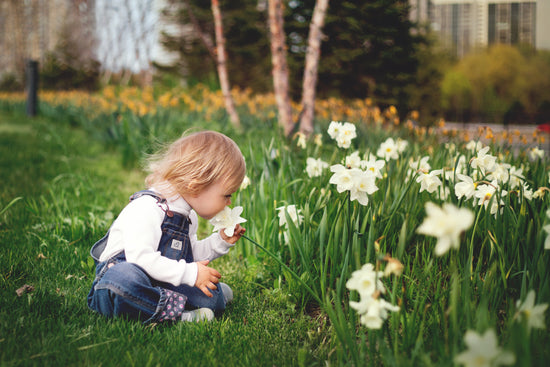 Growing sustainability: Encouraging our little people to nurture the earth