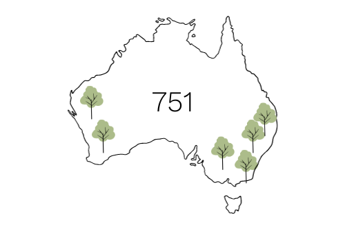 Supporting One Tree Planted with reforestation in Australia - Our reasons for planting trees