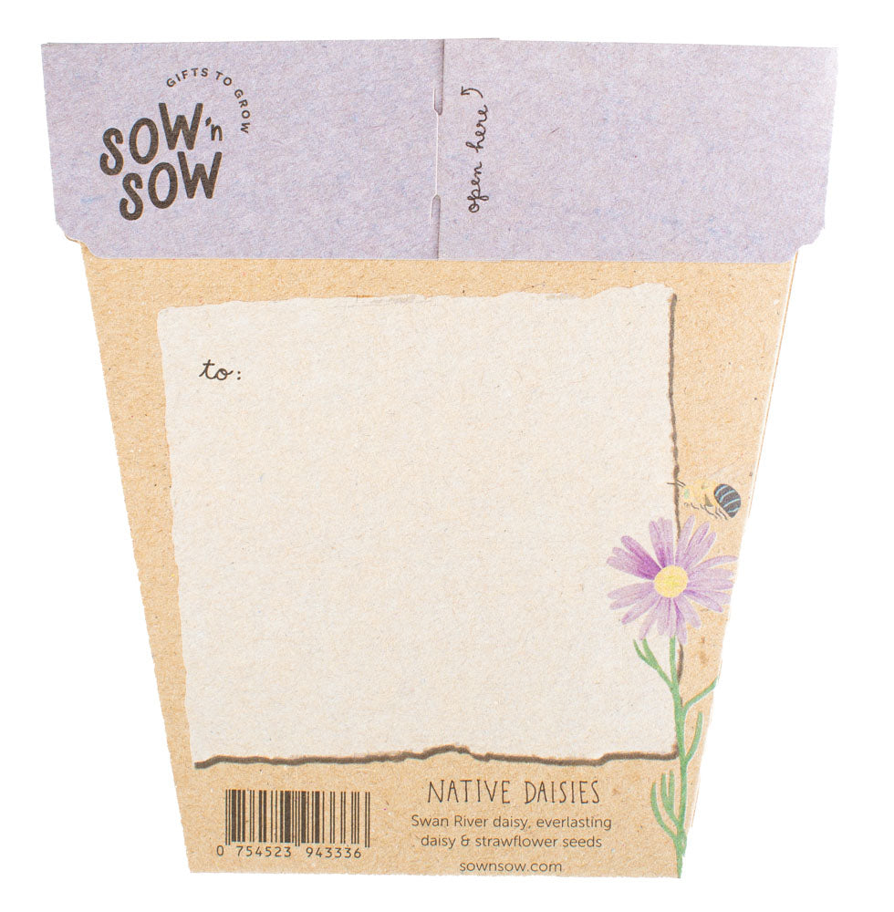 Sow_n_Sow_Native_Daisies_Gift_of_Seeds