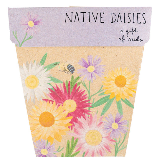 Sow_n_Sow_Native_Daisies_Gift_of_Seeds