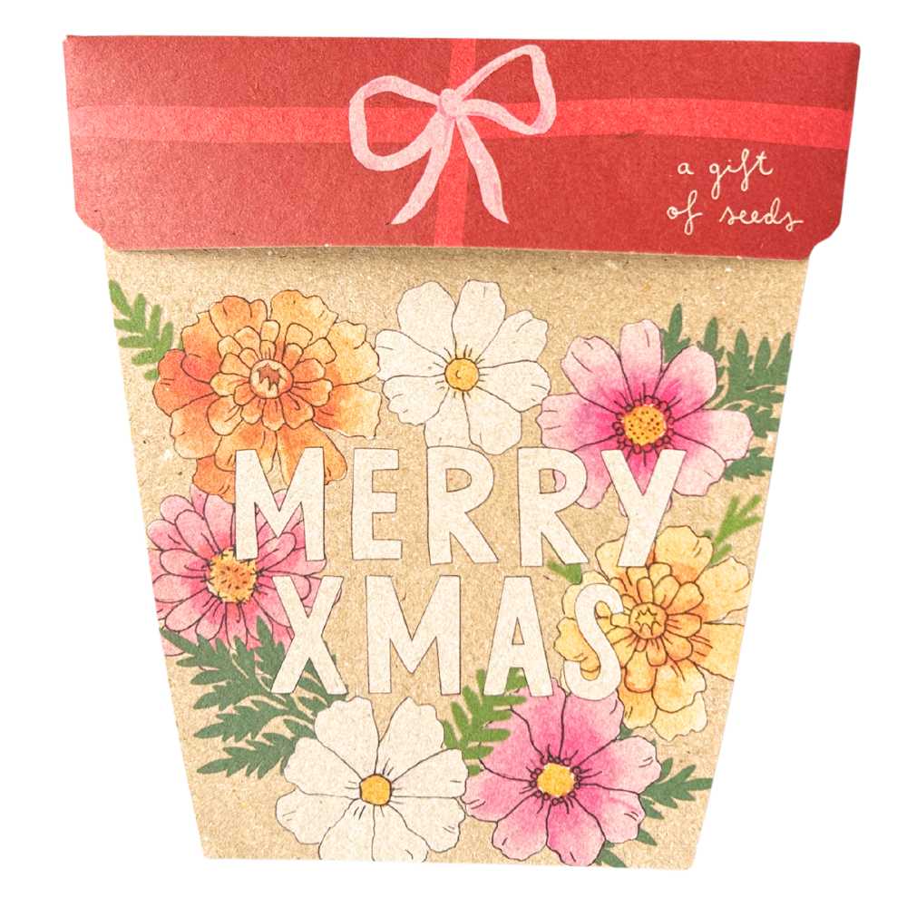 Sow_n_Sow_Xmas_Blooms_Gift_of_Seeds