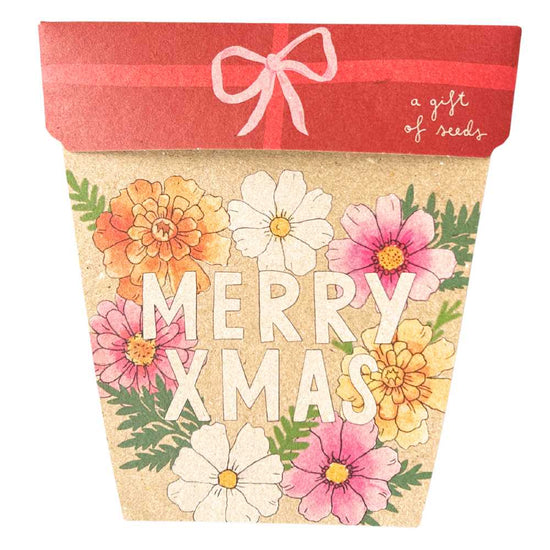Sow_n_Sow_Xmas_Blooms_Gift_of_Seeds