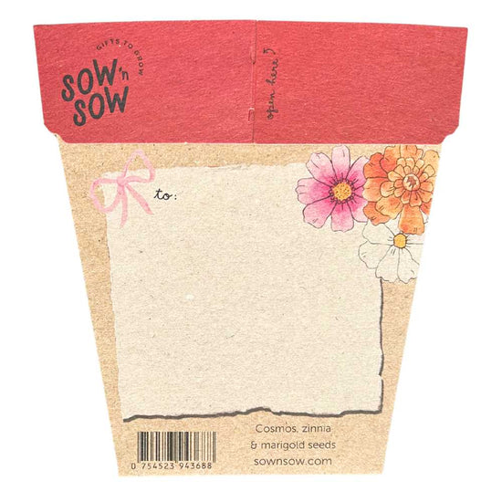 Sow n Sow Xmas Blooms Gift of Seeds