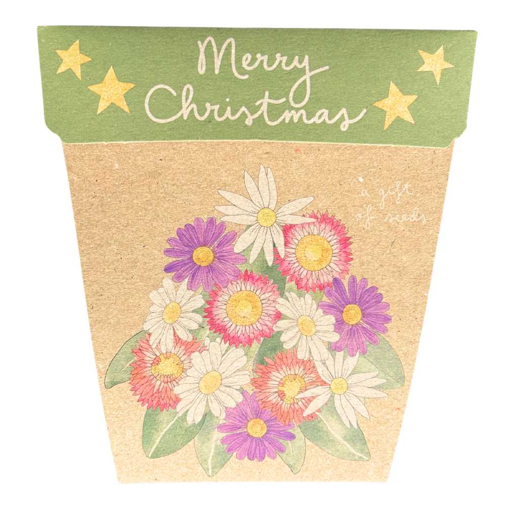Sow_n_Sow_Christmas_Native_Daisies_Gift_of_Seeds