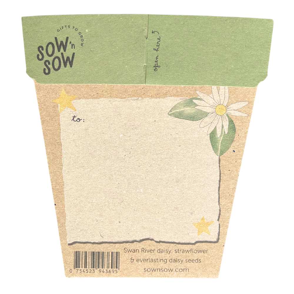 Sow_n_Sow_Christmas_Native_Daisies_Gift_of_Seeds_back