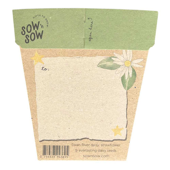 Sow_n_Sow_Christmas_Native_Daisies_Gift_of_Seeds_back