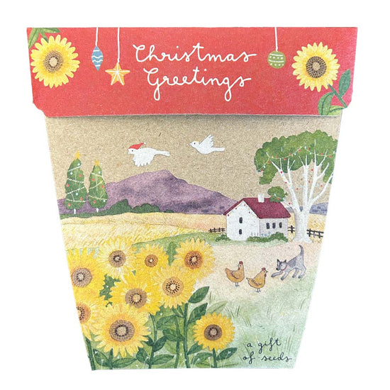 Sow_n_Sow_Christmas_Sunflower_Gift_of_Seeds