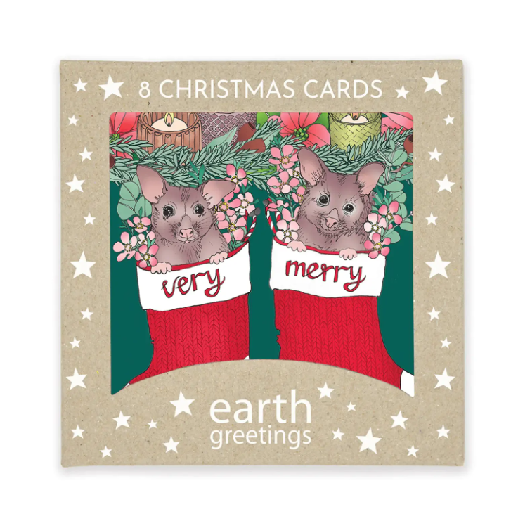 Earth Greetings Recycled Christmas Cards (8 pack)