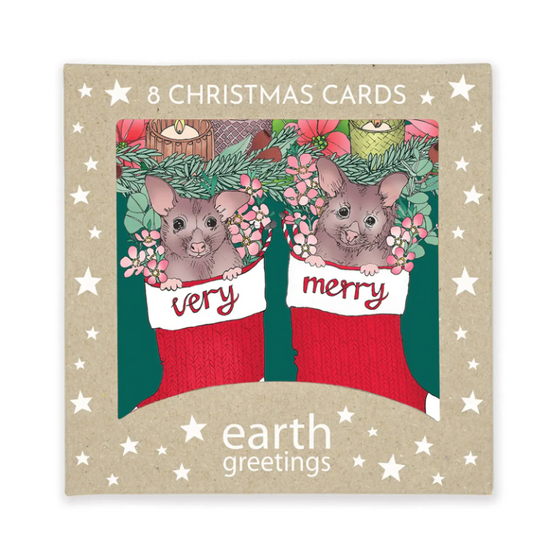 Earth Greetings Recycled Christmas Cards (8 pack)