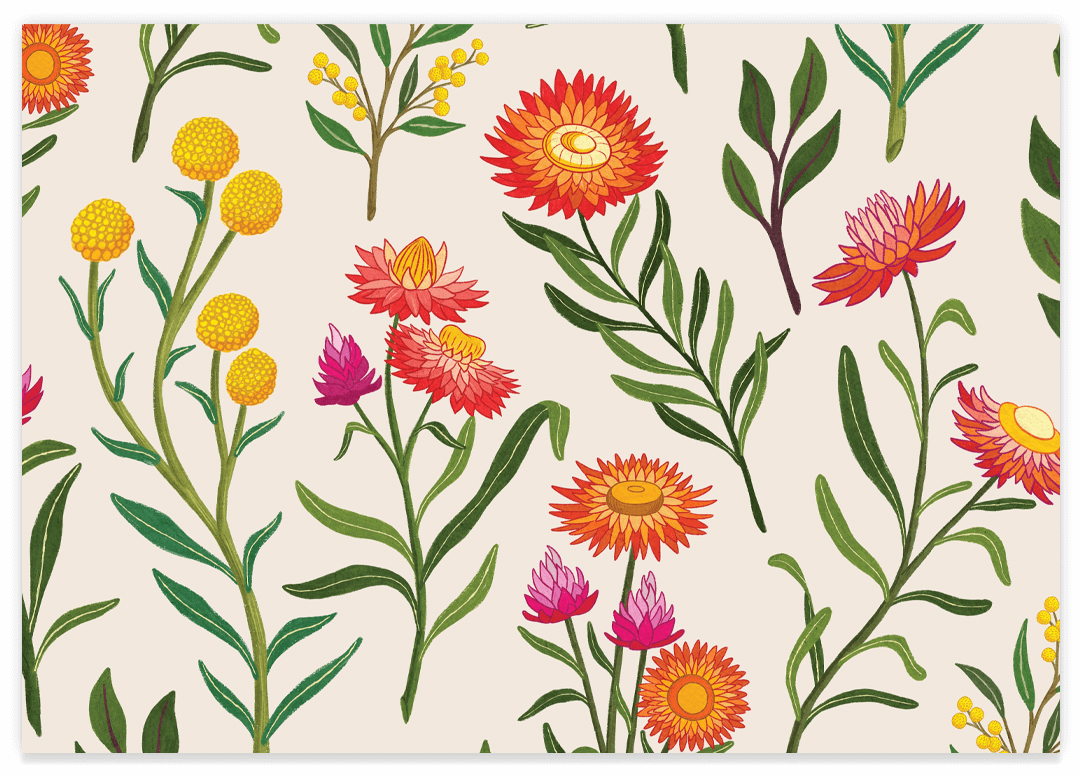 Earth Greetings Recycled Wrapping Paper (Various)
