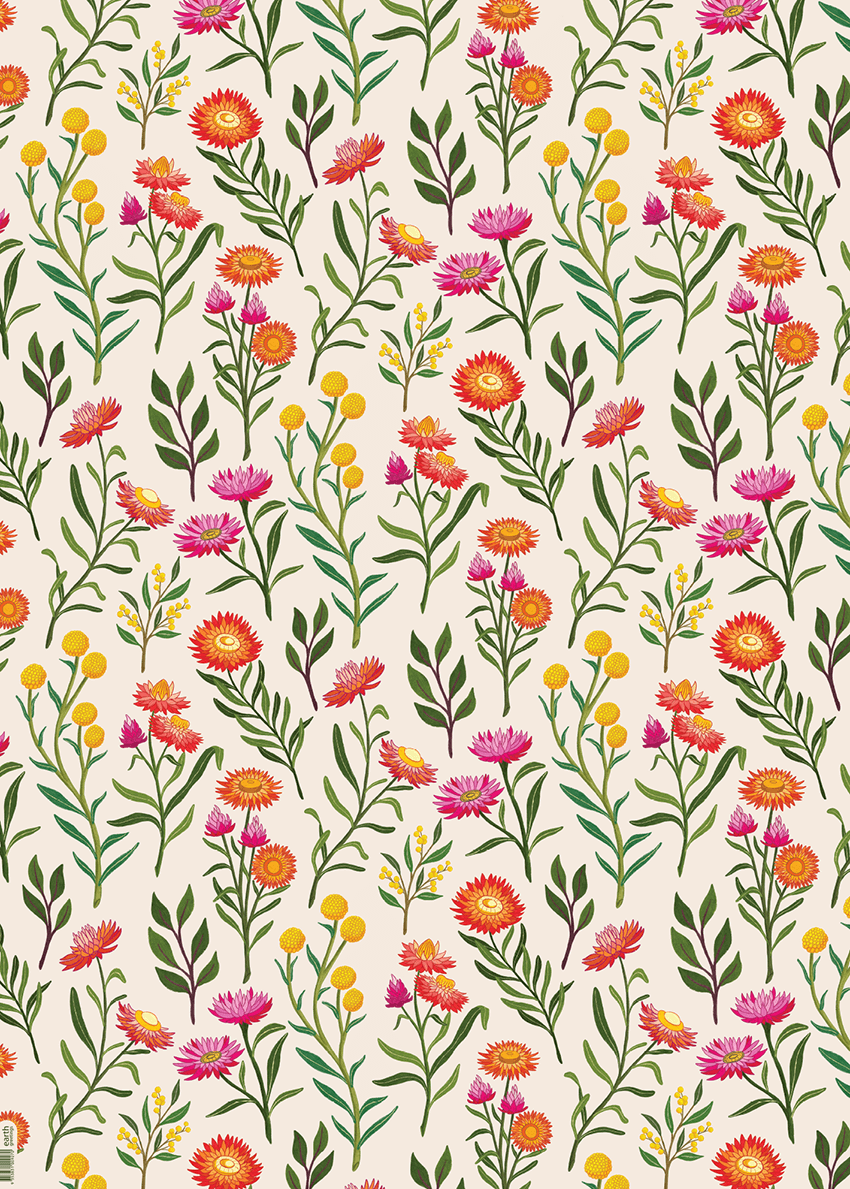 Earth Greetings Recycled Wrapping Paper (Various)