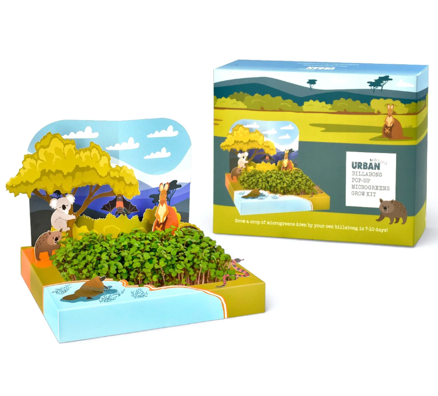 Urban_Greens_Co._Pop_Up_Billabong_Microgreens_Growing_Kit