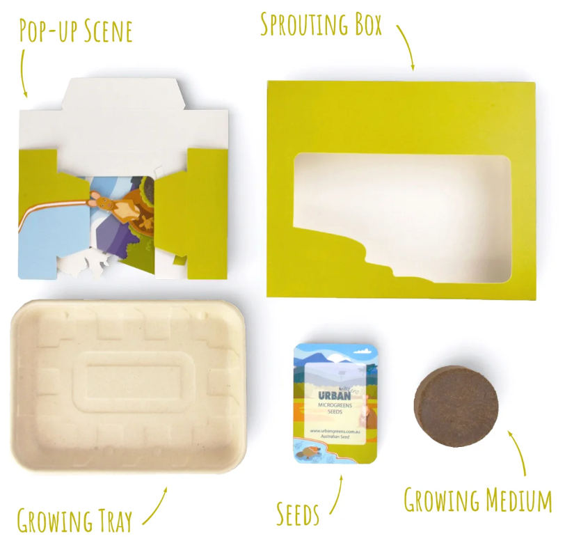 Urban_Greens_Co._Pop_Up_Billabong_Microgreens_Growing_Kit