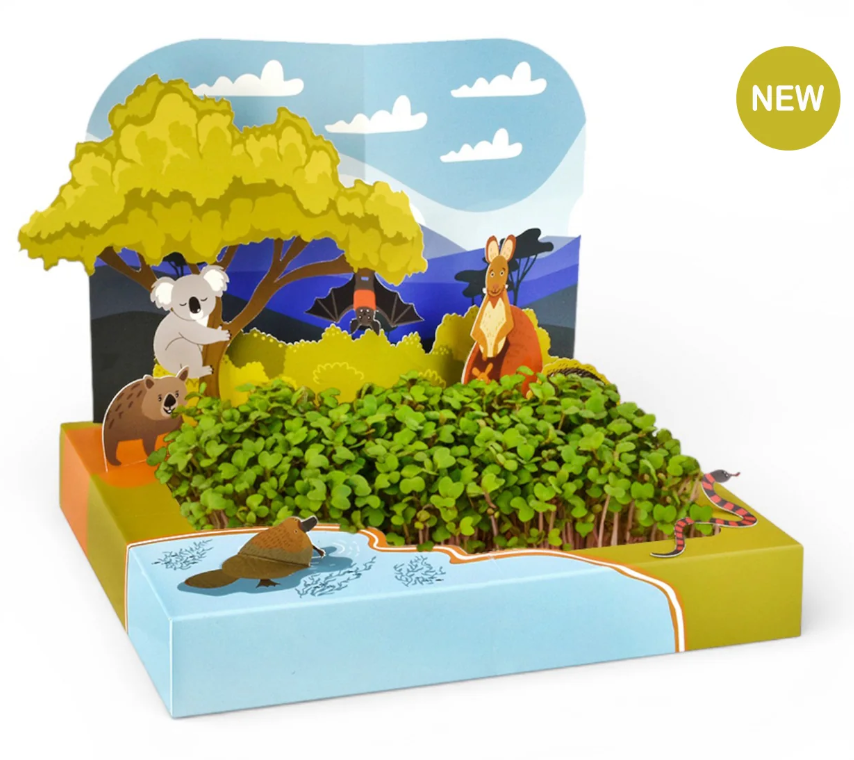 Urban_Greens_Co._Pop_Up_Billabong_Microgreens_Growing_Kit