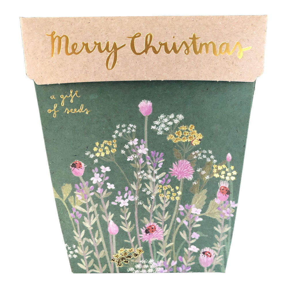 Sow_n_Sow_Christmas_Herbs_Gift_of_Seeds