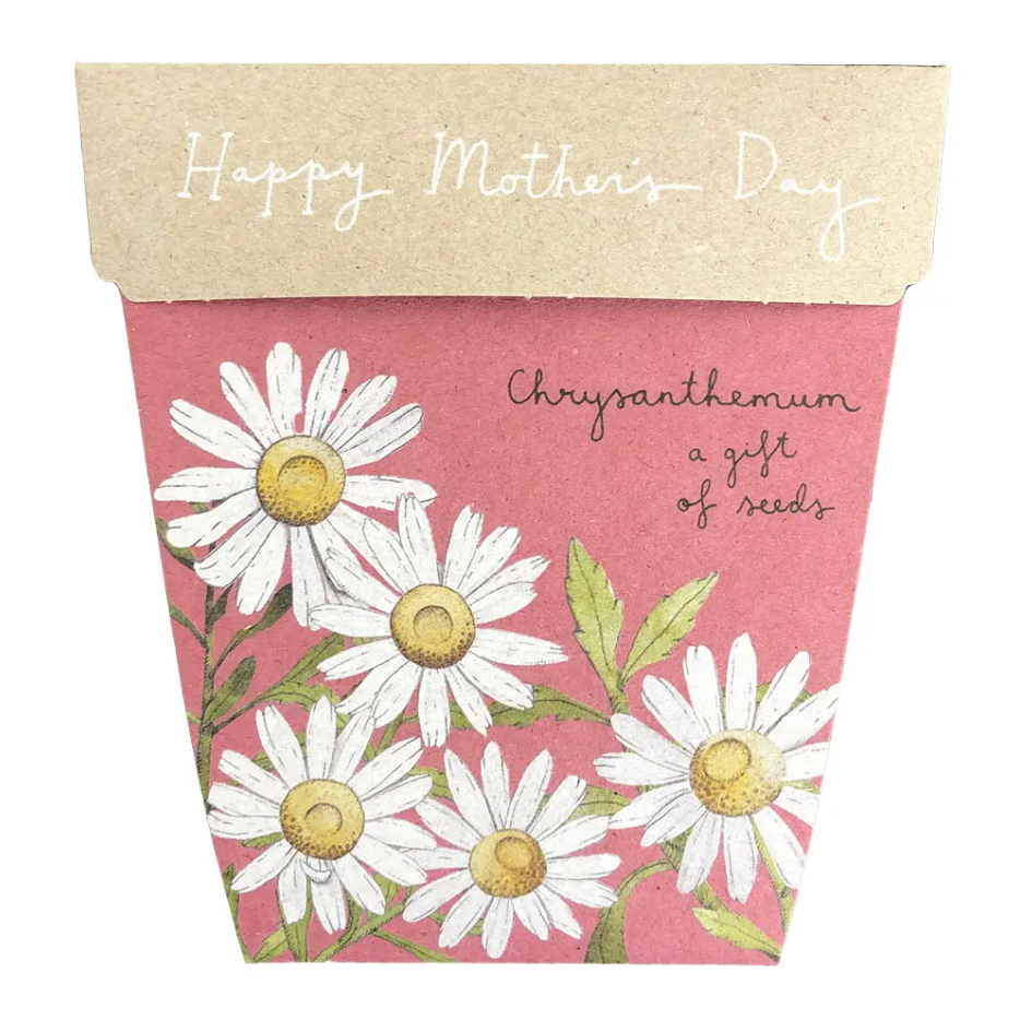 Sow_n_Sow_Chrysanthemum_Mother's_Day_Gift_of_Seeds