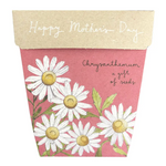 Sow n Sow Chrysanthemum Mother's Day Gift of Seeds