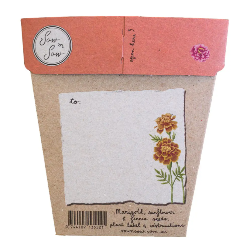 Sow_n_Sow_Secret_Garden_Gift_of_Seeds_back