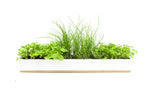 Urban Greens Co. - Micro Herbs Windowsill Box Grow Kit