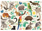 Earth Greetings Recycled Wrapping Paper (Various)