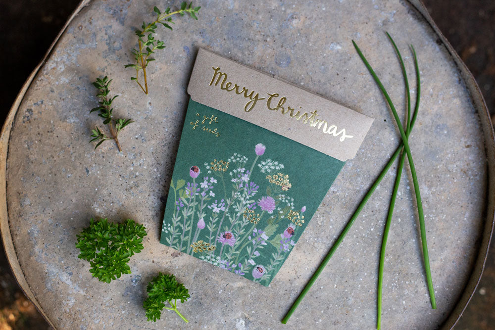 Sow_n_Sow_Christmas_Herbs_Gift_of_Seeds