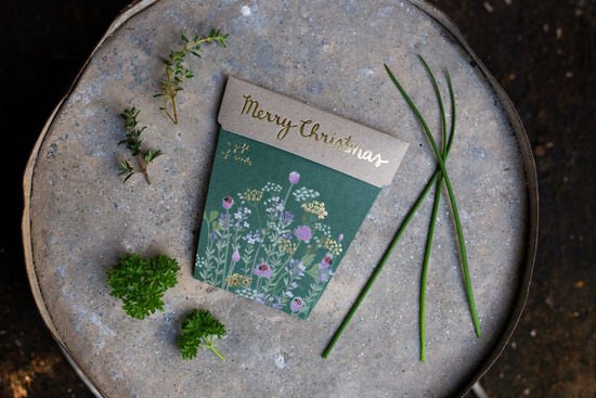 Sow_n_Sow_Christmas_Herbs_Gift_of_Seeds